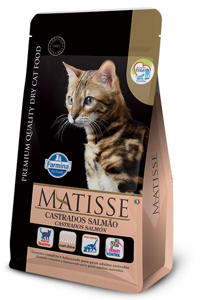 Bolsa de Matisse para gatos castrados